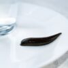 Leech Therapy Centre UK | Buy Medicinal Leeches (Hirudo Verbana)